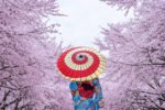 Why Japan’s Hidden Villages Are 2025’s Top Destination